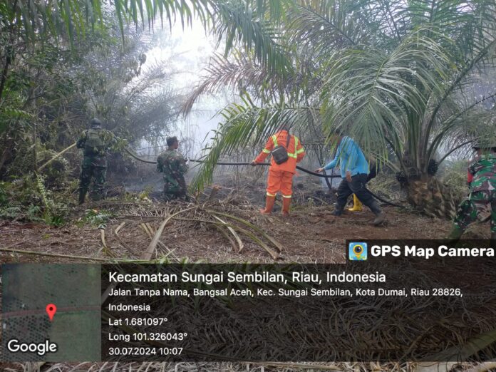 IMG-20240801-WA0008