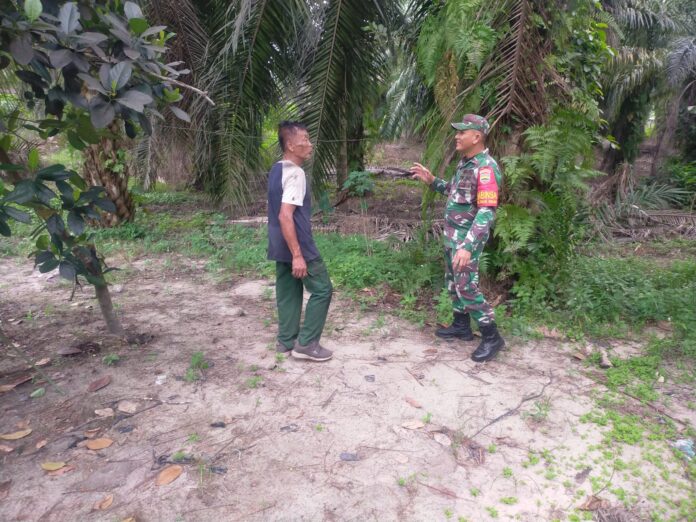 IMG-20240926-WA0002