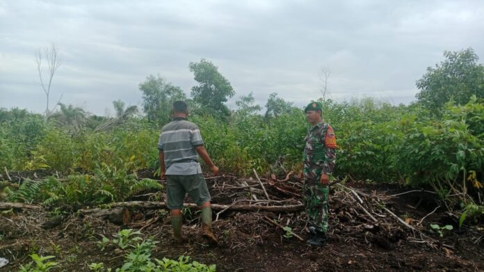 IMG-20240927-WA0001