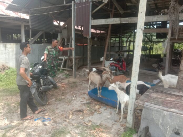 IMG-20240930-WA0004