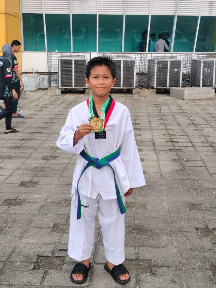 Muhammad Farhan Amir Muhammad Farhan Amir