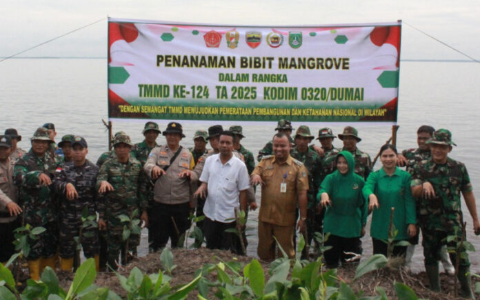 IMG-20250520-WA0028