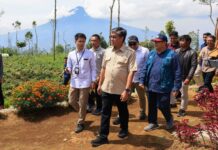 Kemnaker Siapkan Pelatihan Agroforestry untuk Perluas Peluang Kerja Warga Garut
